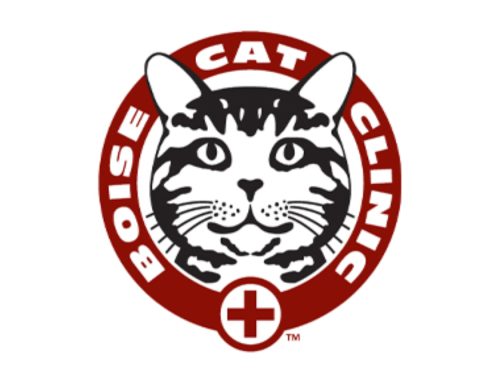 Boise Cat Clinic will be under new ownership…